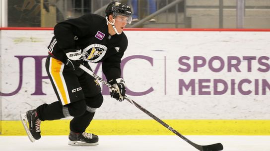 Development camp report: Hallander 'here to take a spot' on roster taken in Cranberry, Pa. (Penguins)